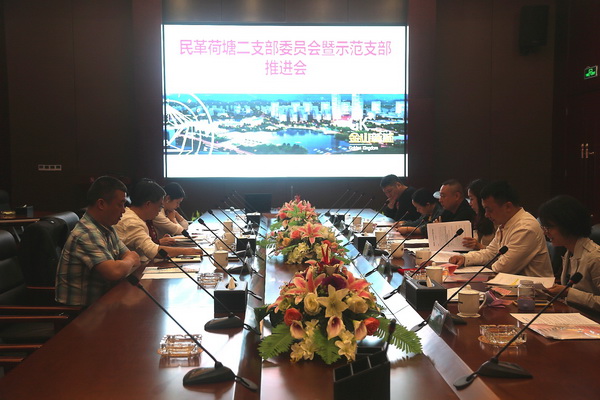 民革荷塘二支部召开支部委员（扩大）会议暨示范支部创建推进会 (3)_调整大小.jpg