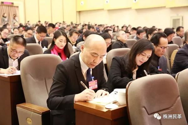 株洲民革调研报告、提案及委员在市政协九届二次会议上获?(3).jpg