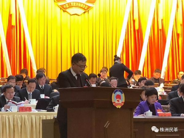 汪迎伟代表株洲市政协民革界别作大会发言 (1).jpg