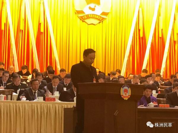 汪迎伟代表株洲市政协民革界别作大会发言 (2).jpg