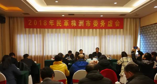 民革株洲市委召开2018年工作务虚会 (1).jpg