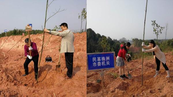 纪念孙中山先生逝世93周年，民革株洲市委响应号召、植树造林 (3).jpg