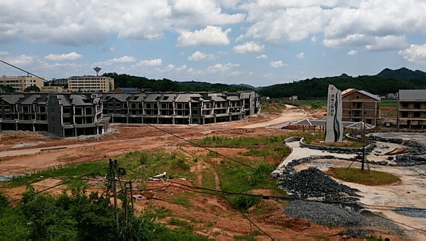 民革荷塘二支部开展二季度支部活动_调整大小.jpg