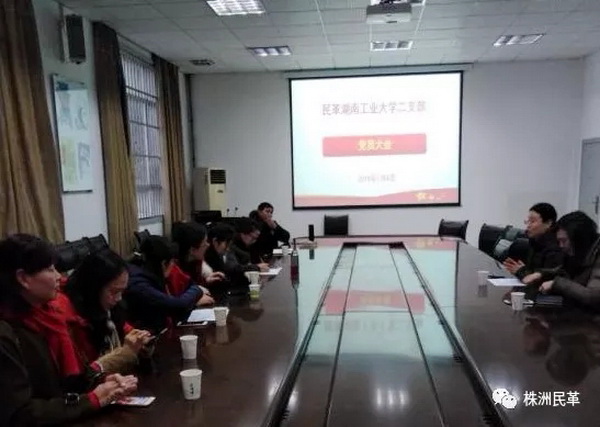 民革湖南工业大学工作委员会召开全体党员大会并成立民革湖南工业大学一、二、三支部 (3)民革湖南工大二支部会议_调整大小.jpg