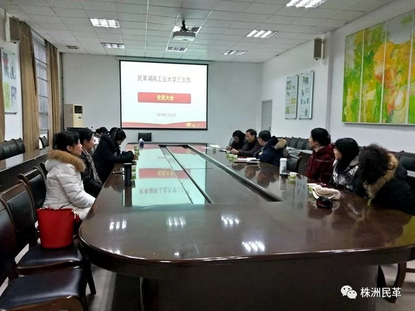 民革湖南工业大学工作委员会召开全体党员大会并成立民革湖南工业大学一、二、三支部 (4)民革湖南工大三支部会议_调整大小.jpg