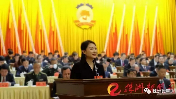 【媒体报道】周利丹委员：调整产业结?大力促进株洲信息产业发展_调整大小.jpg