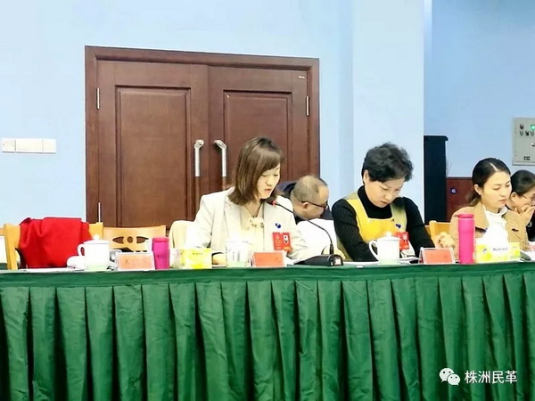 株洲市政协会议上，民革政协委员表现踊?(2)_调整大小.jpg