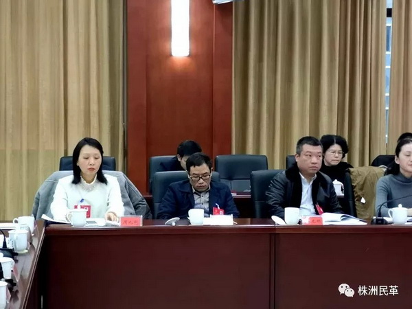 株洲市政协会议上，民革政协委员表现踊?(3)_调整大小.jpg