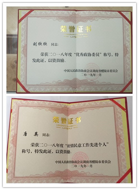 醴陵两会顺利召开 民革党员积极履职 (2)_调整大小.jpg