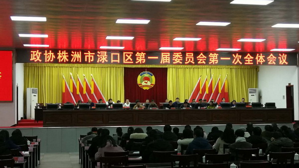 民革党员段琳芳当选为株洲市渌口区第一届政协副主席（兼）_调整大小.jpg