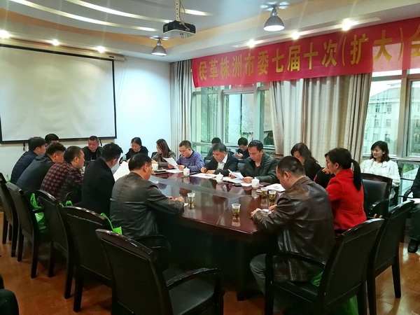 民革株洲市委召开七届十次（扩大）会议 (1)_调整大小.jpg