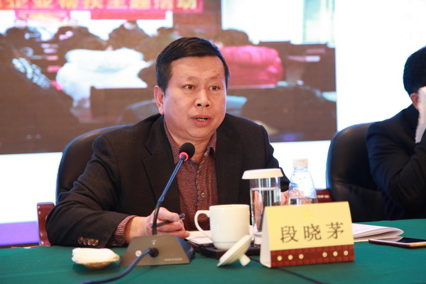 强基础 创品?争先?民革株洲市委召开2019年度党员大会 (14)_调整大小.JPG