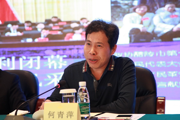 强基础 创品?争先?民革株洲市委召开2019年度党员大会 (15)_调整大小.JPG