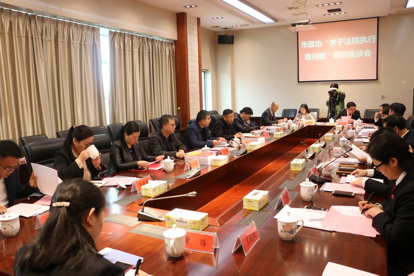 市政协民革界别委员参加“关于法院执行难问题”课题调?(1)_调整大小.jpg
