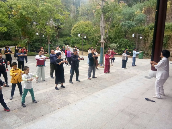 弘扬太极文化 这位民革党员很专业_调整大小.jpg