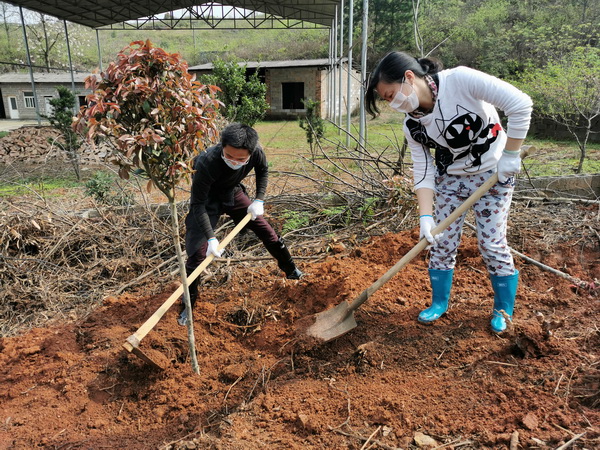 满坡都是团结?期盼河山春风?民革株洲市委会相应号召植树造林 (4)_调整大小.jpg