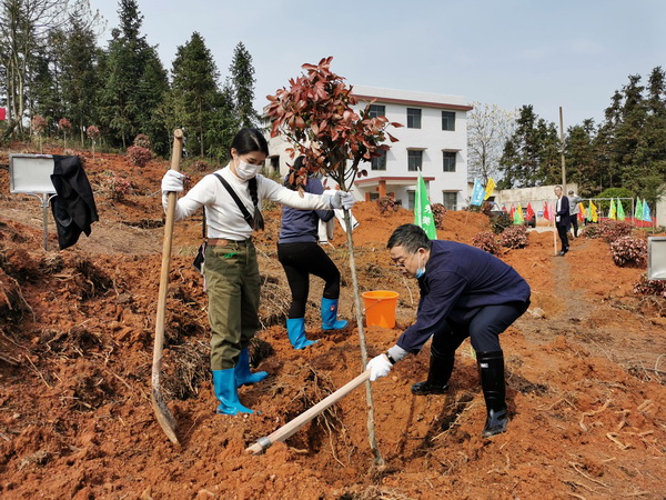 满坡都是团结?期盼河山春风?民革株洲市委会相应号召植树造林 (3)_调整大小.jpg