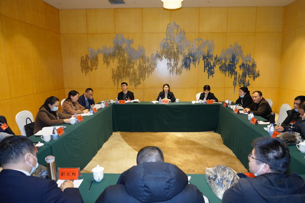 醴陵民革：“两会”履职展风采 (4).jpg