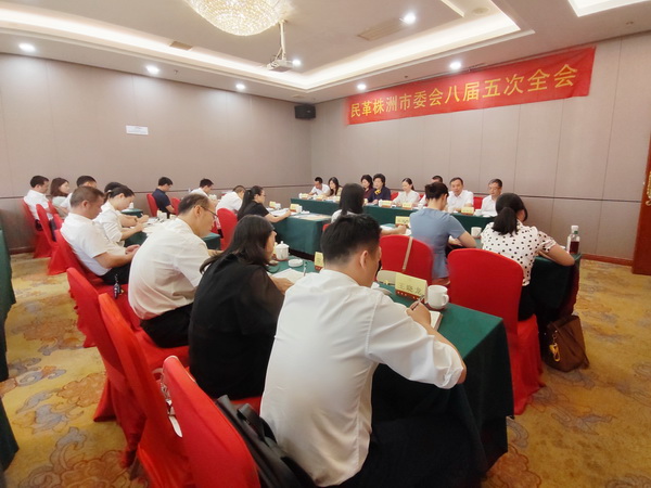 民革株洲市委会召开八届四次、五次全会暨届中调整会议 (3).jpg