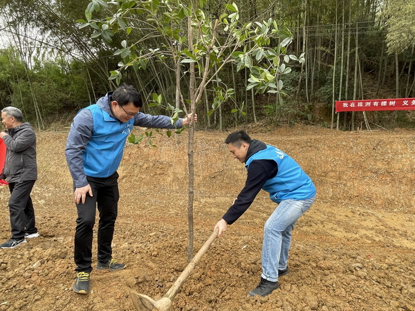 株洲民革荷塘区工委开展“‘博爱˙牵手’关爱困境儿童——十年树木百年树人”结对帮扶共种一棵树活动 (3).jpg