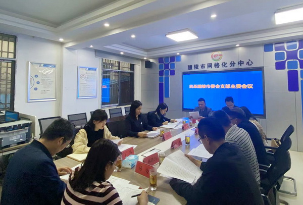 民革醴陵市委会召开支部主委会议 (1).jpg