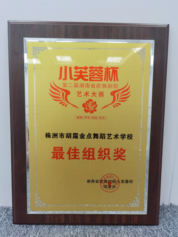 株洲民革党员胡露编排原创舞蹈《田埂上的芭蕾》荣?023湖南省歌舞剧院第二届“小芙蓉”杯艺术大赛特金?(2).jpg