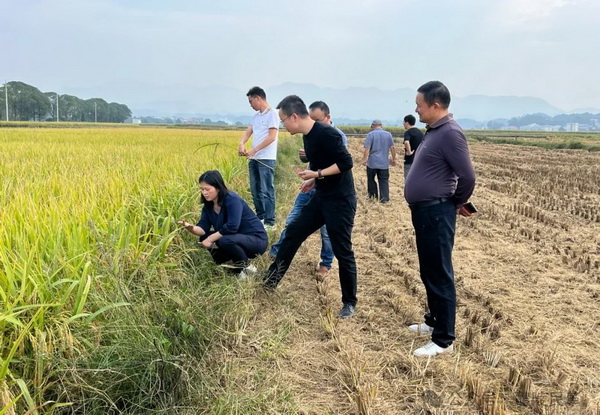 以党派之为助推社会经济高质量发展——醴陵民?023年参政议政成果综?(3).jpg