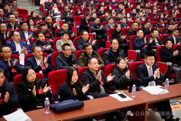 【两会专栏】怀揣民意献良策 履职尽责促发展——醴陵民革两会履职风?(4).jpg