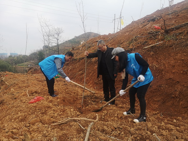 纪念中山先生 助力绿色发展 民革株洲市委会机关开展植树活?(4).jpg