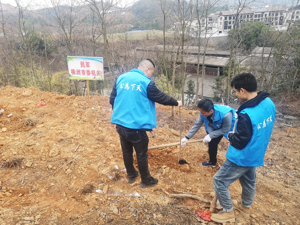 纪念中山先生 助力绿色发展 民革株洲市委会机关开展植树活?(3).jpg