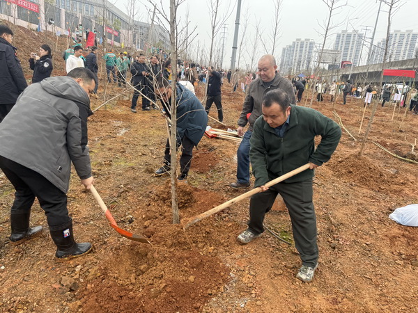 栽下同心?画好同心?民革株洲市荷塘一支部开展植树活?(2).jpg