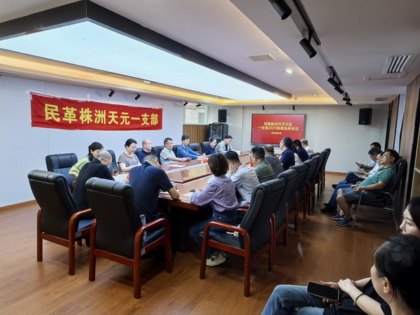 民革株洲市天元区一支部召开换届大会 (2).jpg