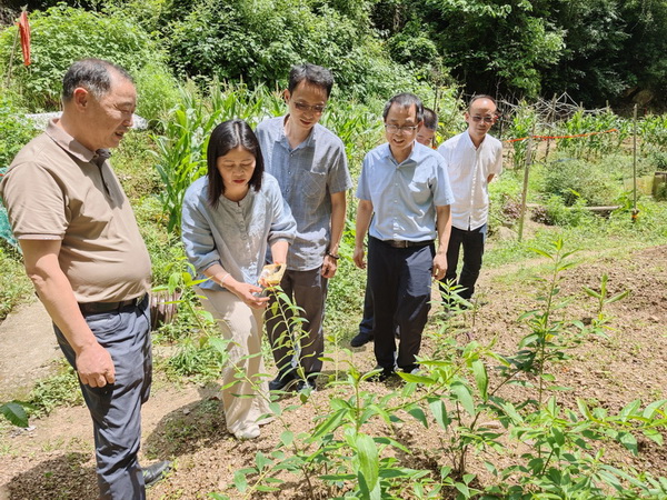 【醴陵民革】雷向军带队赴醴陵市中医院开展中医药产业发展专题调研 (2).jpg