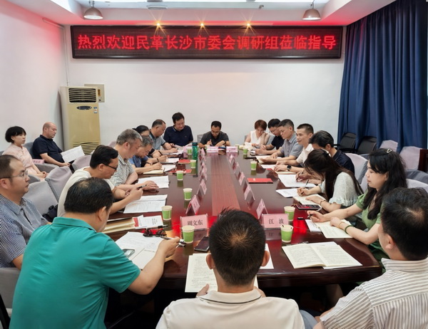 长沙民革来株开?“民主党派内部监督优化路径研究”专题调?(14).jpg