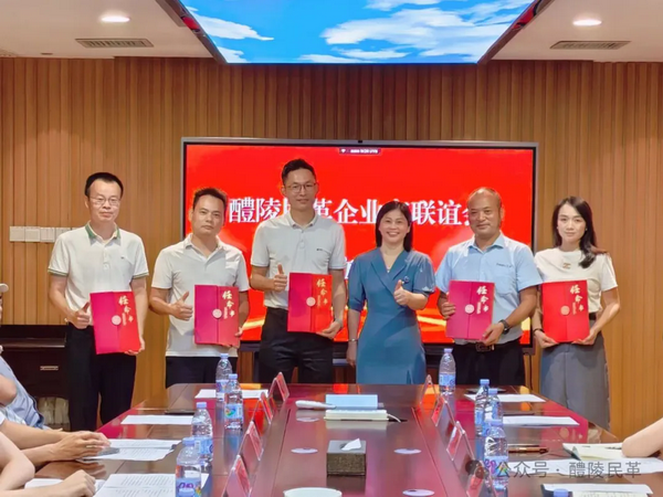 醴陵民革企业家联谊会成立 (1).png